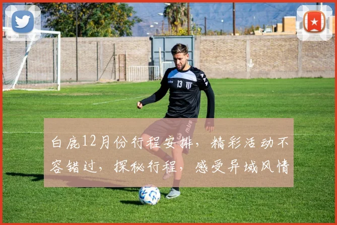 白鹿12月份行程安排，精彩活动不容错过，探秘行程，感受异域风情，体验文化魅力，邂逅美好时光，
